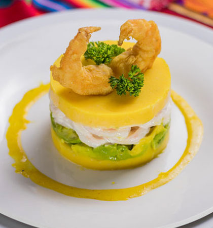 causa_home